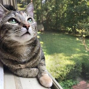 Meet your Posher, Clare